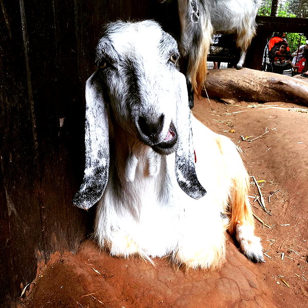 adihimelbloy instagram image archive image