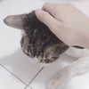 nixqq.425_ Altpins Profile Picture