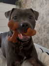 _m_a_y_c_ Altpins Profile Picture