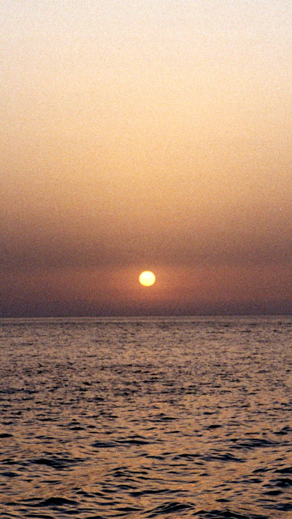 pia__kim archive image