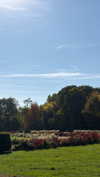 hagarschubert Altpins Profile Picture