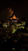 nikoleta.milenova Altpins Profile Picture