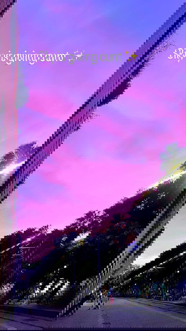 elianachetrit elianachetrit archive image