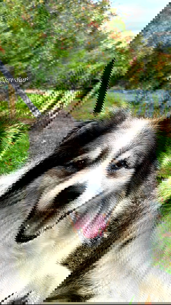 taylor.creeden taylor.creeden archive image