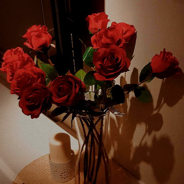 yanavekno instagram image archive image