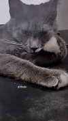 minenmi_ Altpins Profile Picture