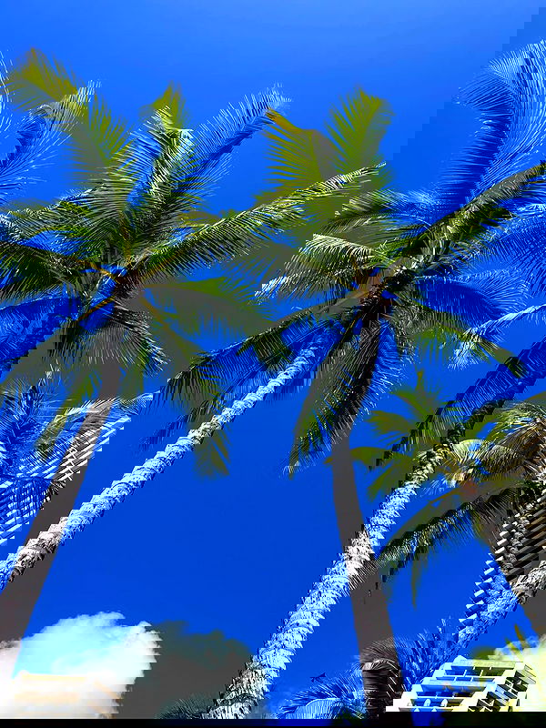 ellamwatts_ ellamwatts_ archive image