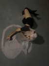 milliexxss Altpins Profile Picture