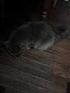 ash.onme Altpins Profile Picture