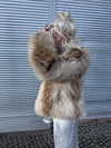 girlcalledluca Altpins Profile Picture