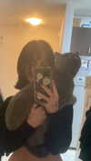 romxcohen Altpins Profile Picture