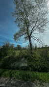 jeanlouiee Altpins Profile Picture