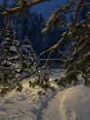 vollkova__ Altpins Profile Picture