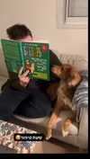 michelle_izraeli Altpins Profile Picture