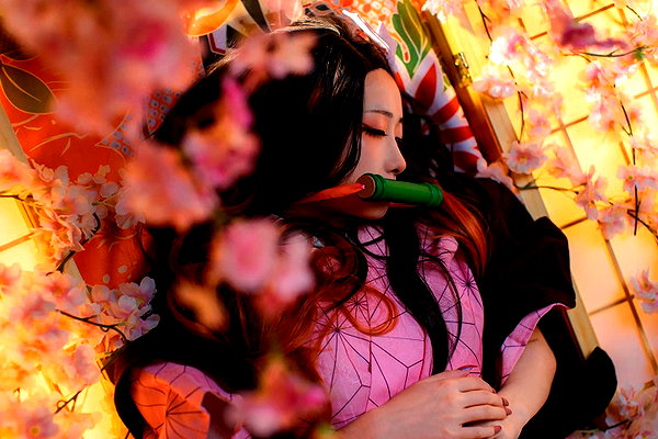 muze instagram image archive image