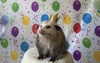 milkiwifey Altpins Profile Picture