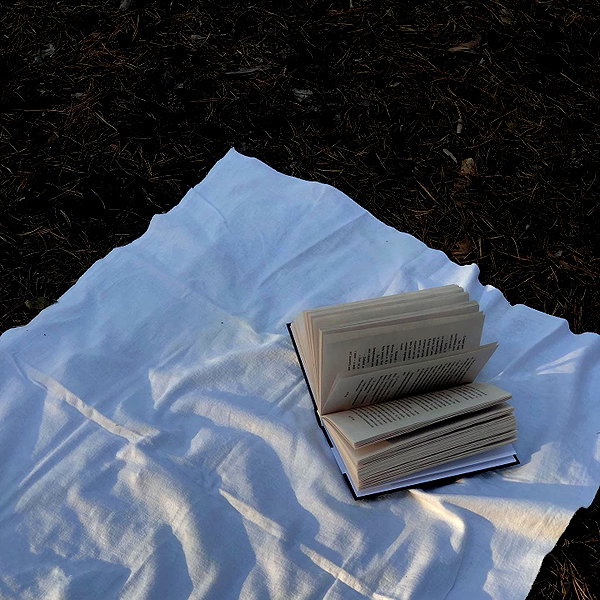 apathy.impress instagram image archive image
