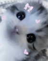 josiexluv Altpins Profile Picture