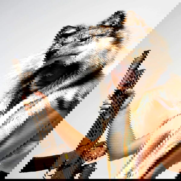 haylujan haylujan archive image