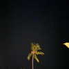 vasilinskiy Altpins Profile Picture