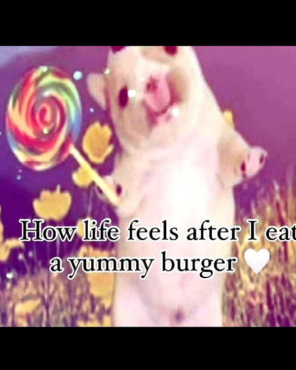 leanbeefpatty instagram image archive image