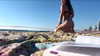noa_blumenfeld Altpins Profile Picture