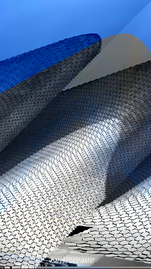 taylor.creeden taylor.creeden archive image