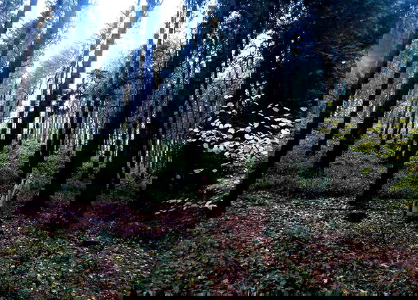 kitty.elliss kitty.elliss archive image