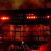 adele Altpins Profile Picture