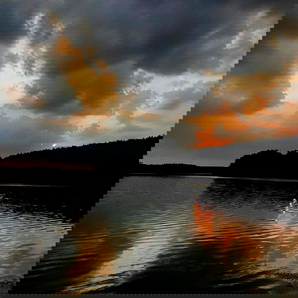 annfigmax image ~ Altpins