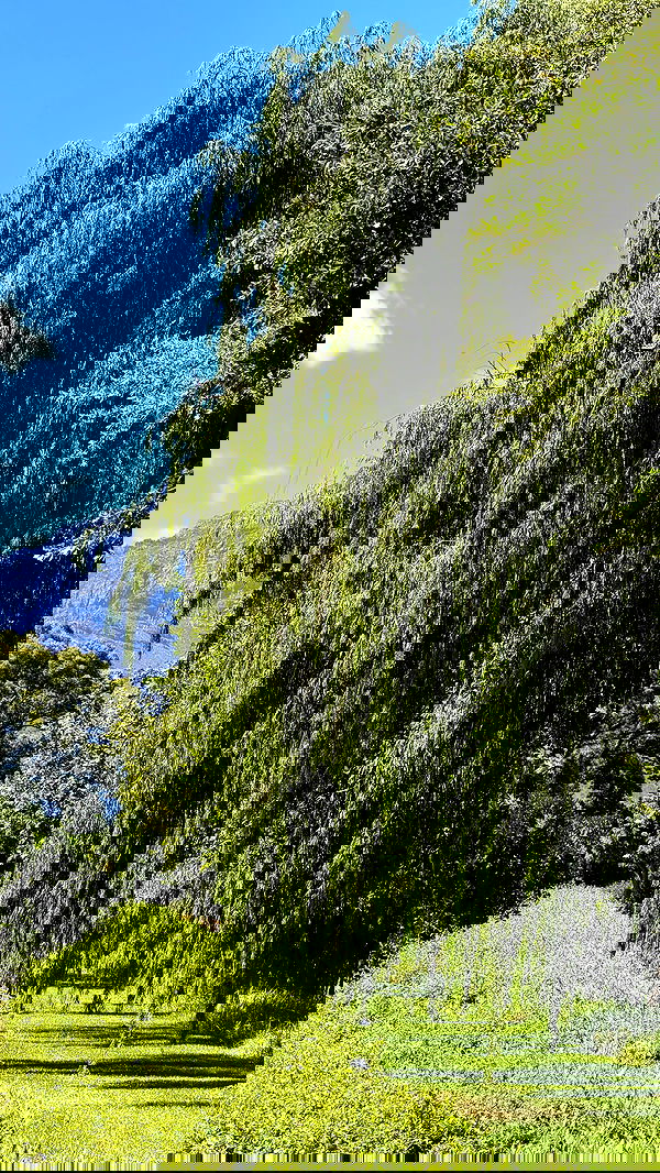 taylor.creeden taylor.creeden archive image