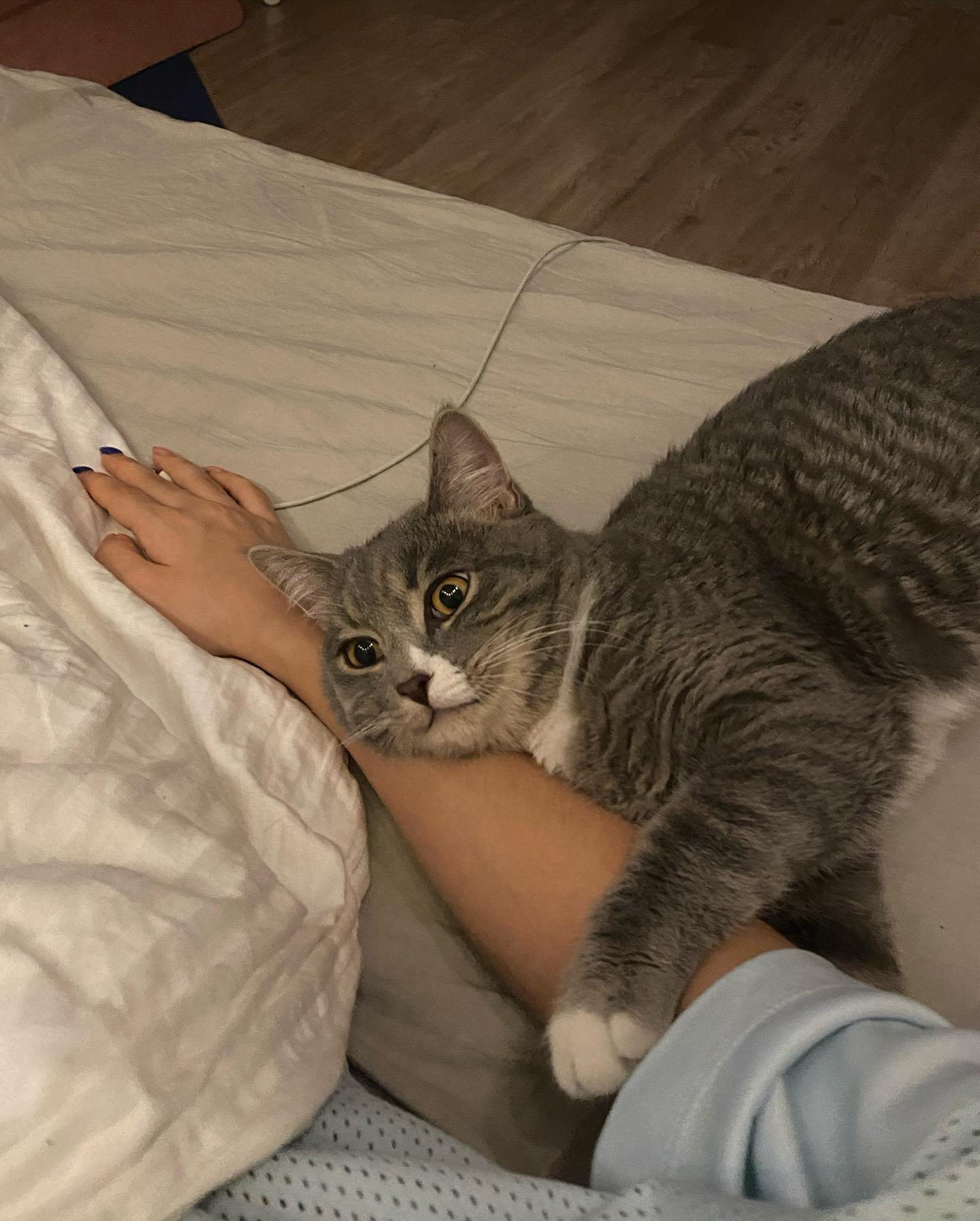 kkulakovaa instagram image archive image