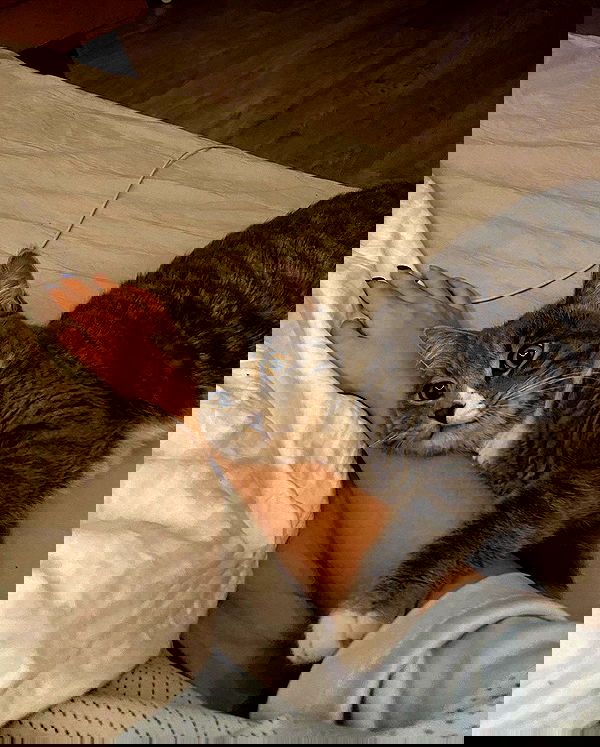 kkulakovaa image ~ Altpins