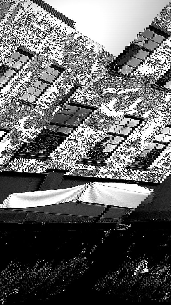 taylor.creeden taylor.creeden archive image