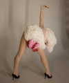 my_dear_petra Altpins Profile Picture