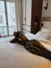 carolinezalog Altpins Profile Picture