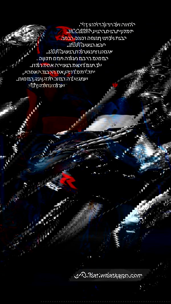 roee_mor_62 roee_mor_62 archive image