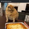 catl0verr69 Altpins Profile Picture