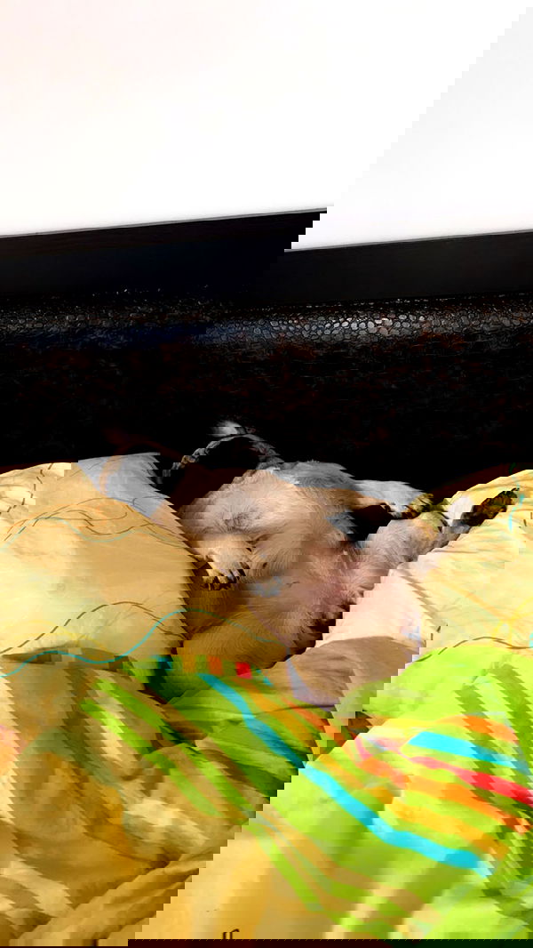 nyityam nyityam archive image