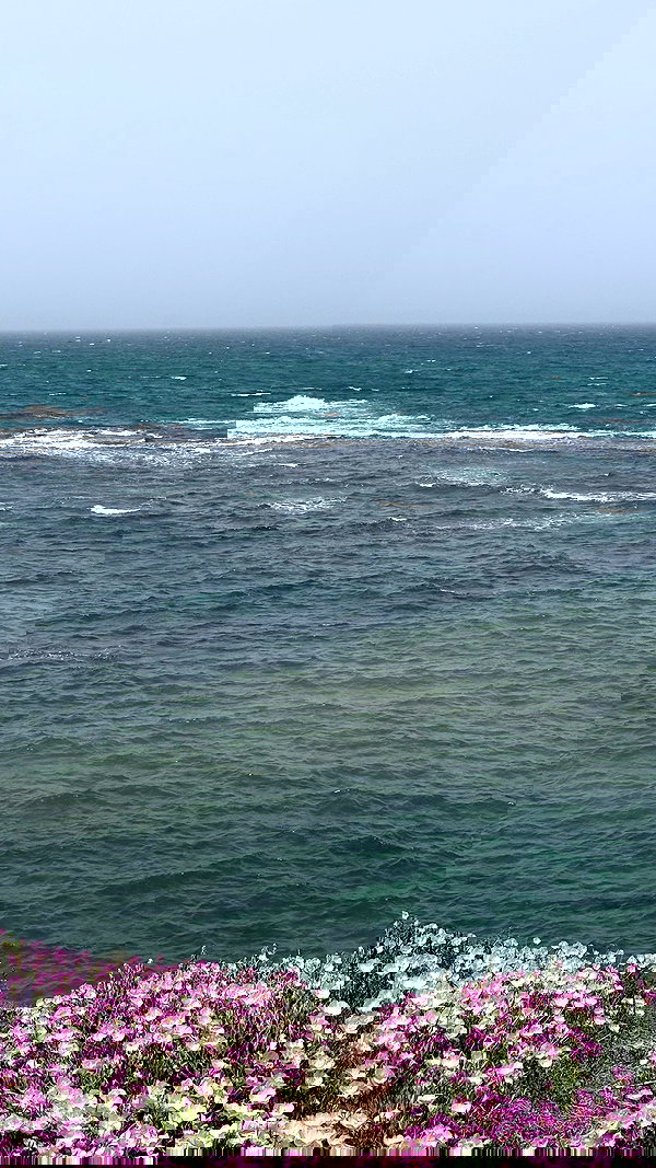 v.e.r.o._.n.i.c.a v.e.r.o._.n.i.c.a archive image