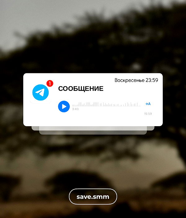 levsave instagram image archive image