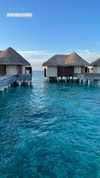 sonia_litvanchuk Altpins Profile Picture