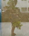 rouxroux.tv Altpins Profile Picture
