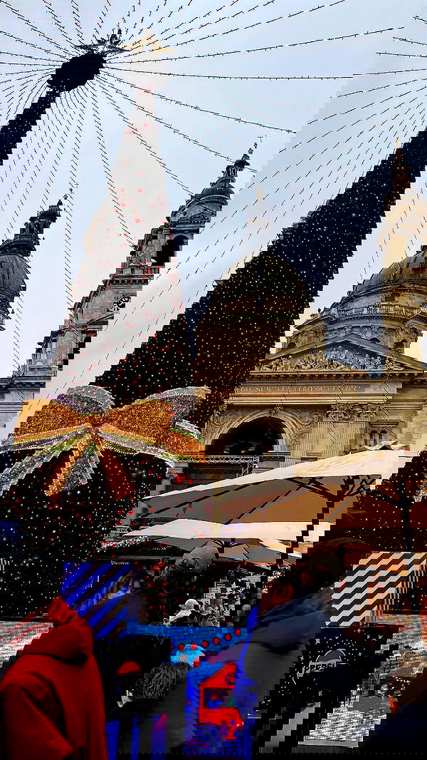 shanidahan7 image ~ Altpins