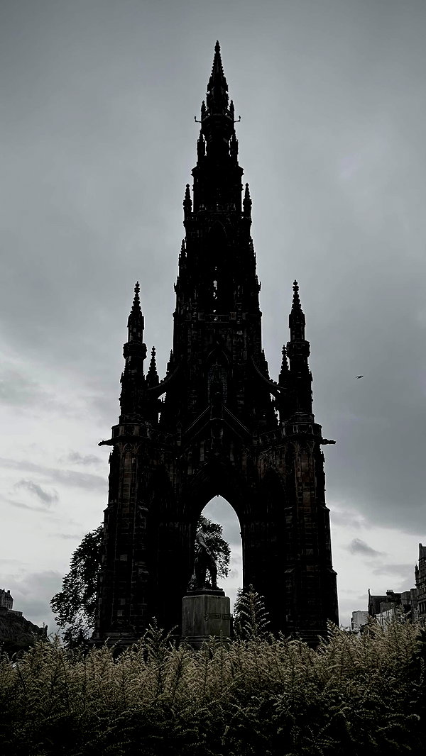 bat.wiings instagram image archive image