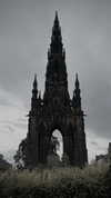 bat.wiings Altpins Profile Picture