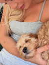 sophiecharlotth Altpins Profile Picture