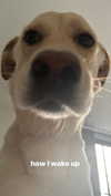 gabbyepstein Altpins Profile Picture