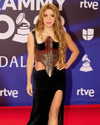 shakira Altpins Profile Picture