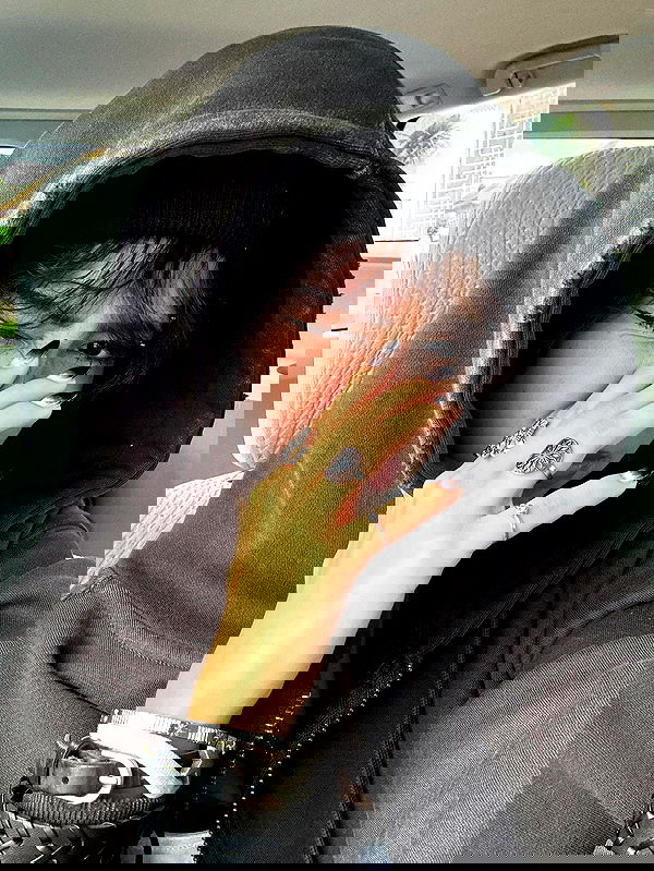 mosssaico mosssaico archive image